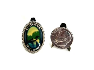 Vintage Saint Germain Wisconsin Loons Pin Badge Pinback - Picture 1 of 4