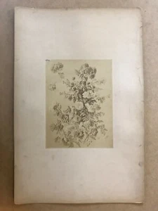 Original Photograph circa 1865 Flower Studies Études de fleurs by Lelong RARE! - Picture 1 of 2