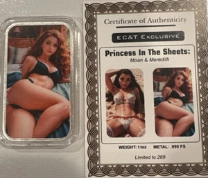 Princess In The Sheets Gean & Meredith 1 oz .999 argento lingotto 2 lati 269 coniato🔥 - Foto 1 di 6
