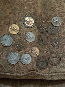 Lote de 15 premios vintage de medallas de lucha libre de secundaria Kern County California - Imagen 1 de 16