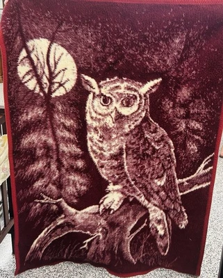 Manta de Peluche Búho Noche Reversible Usada Hecha en México 60x43 Granate Foto 1 de 4