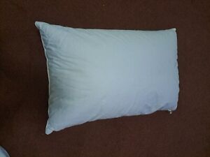 PILLOW DUCK FEATHER DICKENS SIZE 74CM X 48 CM with pillow protector