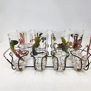 Mallard Duck Goose Retro 12 oz Highball Glasses Set of 8 With Carry Tray Rack - Picture 1 of 7