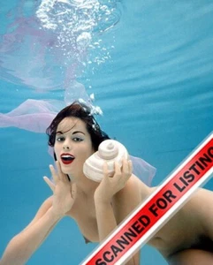 Russ Meyer GIRL Diane Webber under water color 8x10 PHOTO #1159 - Picture 1 of 1