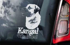 Kangal Voiture Autocollant, Anatolian Shepherd Chien Fenêtre Bumper Signe Decal - Picture 1 of 1
