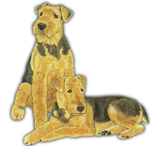 Airedale Terrier Magnet Wooden - Picture 1 of 1