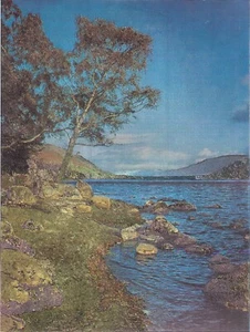 Ullswater impresión artística de lámina de metal efecto 3D sin marco enmarañado enmarañado 8X10. - Imagen 1 de 1