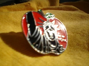BROCHE PIN ON METAL INSIGNIA ORIGINAL APROX 4 CM NUEVA YORK - Imagen 1 de 3