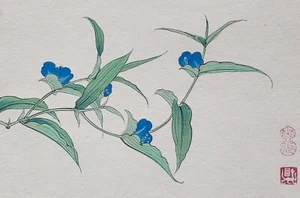 Blüten Mohn Iris chinesisch signiert Farbholzschnitt Papier Seide 1920er Jahre - Bild 1 von 9