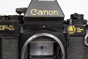 CANON NEW F-1n F-1 LIGHT SEAL FOAM KIT FOR MIRROR FILM DOOR PRE-CUT+GROOVE SHEET - Picture 1 of 2