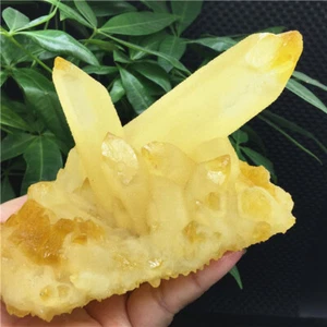 669g PRETTY Yellow AN QUARTZ CRYSTAL CLUSTER Specimen HEALING X514 - Picture 1 of 12