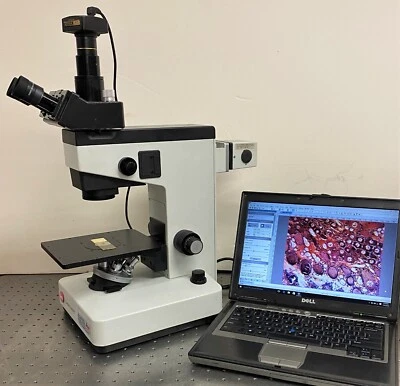 Microscopio invertido Leitz Leica Labovert + cámara de 5 MP Foto 1 de 4