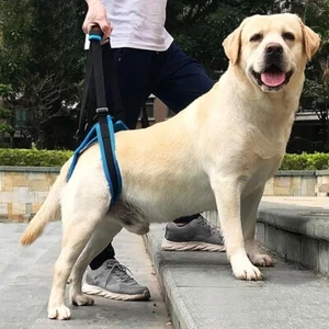 ROZKITCH Hunde-Heckhebestützgeschirr Größe XL - Bild 1 von 8