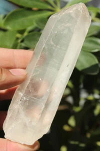 224g NATURAL CLEAR QUARTZ CRYSTAL WAND POINT MINERAL SPECIMEN - Picture 1 of 13
