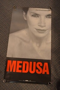 Vintage 1995 ANNIE LENNOX MEDUSA ALBUM POSTER 34X18 PoP Rock  W/ FREE SHIPPING