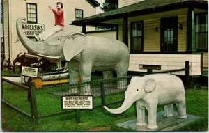 Cartolina ME anni 60 Perrys Nut House famosa elefanti Belfast attrazione stradale - Foto 1 di 2
