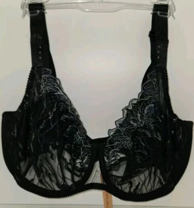 NUEVO CON ETIQUETAS-SUJETADOR DE LUJO LISE CHARMEL Les Nuits Chics -talla 40F BCH6135F #B76 C58 - Imagen 1 de 4