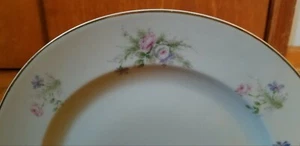 Platos de cena de colección Hutschenreuther rosa foral y dorado patrón de banda de 10" (5) Baviera - Imagen 1 de 4