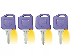 (4 Keys) Global Link OEM Precut LED Key RV Trailer Lock Code G336 - Foto 1 di 2
