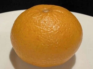Muestra de alimento - naranja mandarina grande - Imagen 1 de 4