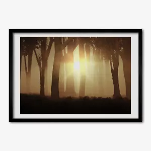 Tulup Picture MDF Framed Wall Decor 70x50cm Image Room Fog in the forest - Picture 1 of 4