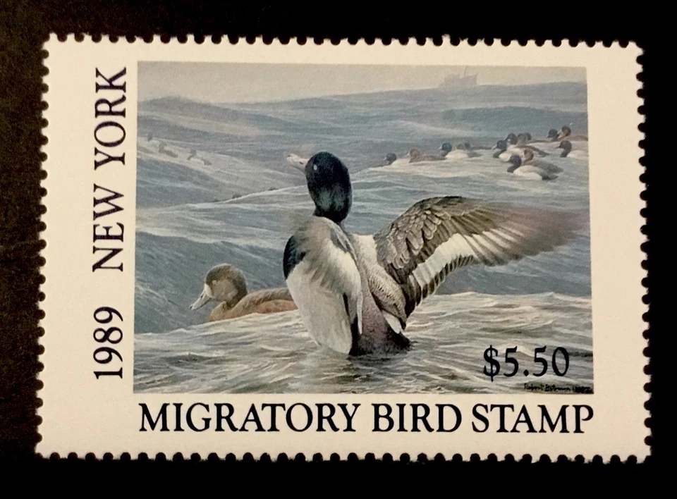 NEW YORK STATE DUCK #5 - PERFEITO ESTADO NUNCA ARTICULADO - SCV: US$ 9,00 - Imagem 1 de 1
