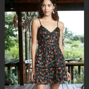 Jack by Bb Dakota womens mini dress size small black/red color mesh floral print - Picture 1 of 17