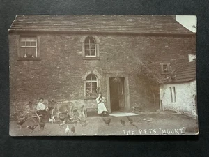 Pets at the Mount Farmhouse Earby Colne Lancashire Real Photo Postcard P59 - Picture 1 of 2
