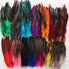 50Pcs Lot Natural Color Rooster Feathers 6-8 Inch Pheasant Chicken Feather C BII