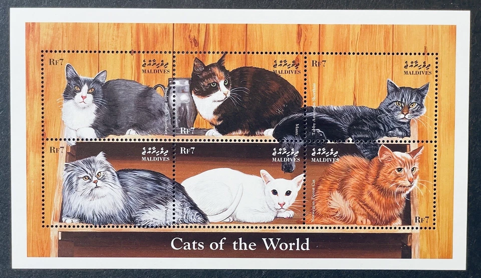 MALDIVES CATS OF THE WORLD STAMP SHEET 1998 MNH ANIMALS CAT TABBY PERSIAN MANX 1 - Image 1 of 1