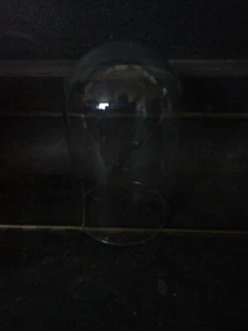 Glass dome - Picture 1 of 1