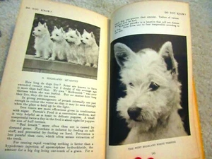 1931 1st TAIL WAGGERS Croxton Smith & Photos of Dogs by Thomas Hall Photographer - Bild 1 von 11