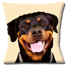 Young Rottweiler Dog Black Tan Smiling Photo Print 16" Pillow Cushion Cover