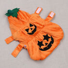 Dog Pumpkin Costume Kitten Cosplay Clothing Pets Halloween Jumpsuit