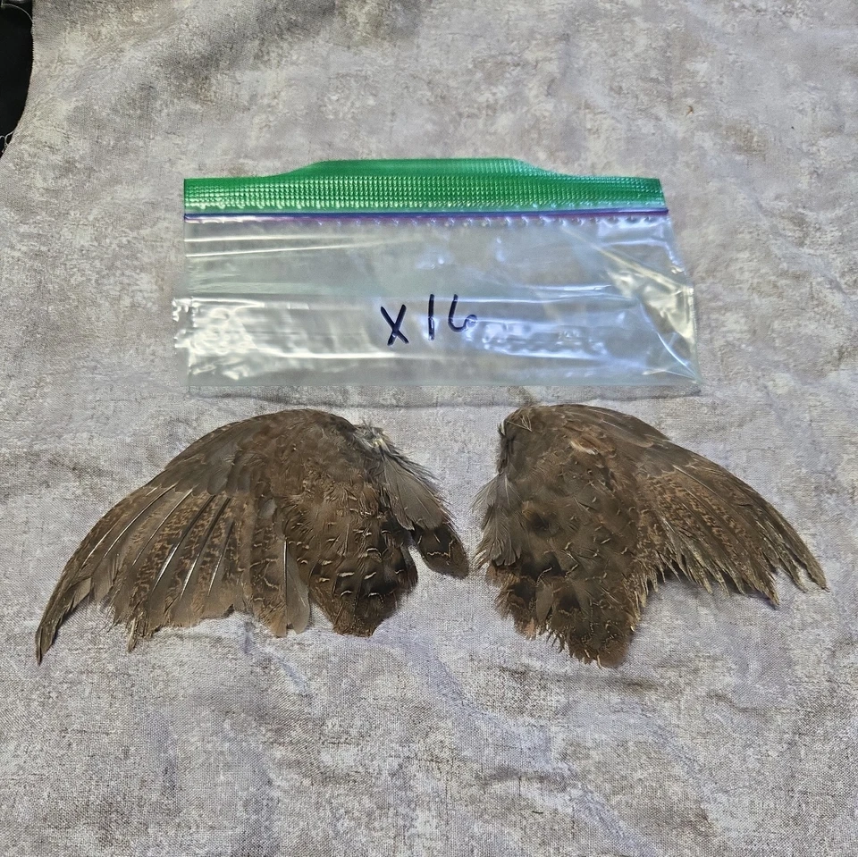 1 комплект перепелиных крыльев - x16 - Изображение 1 из 1
