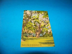 Wesley's Oak "John Wesley" St. Simons Island, Georgia Vintage Postcard - Picture 1 of 2