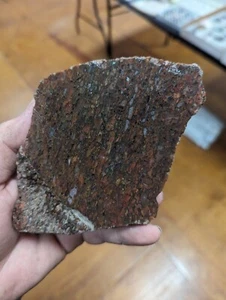 Big Natural TOP Quality Agatized Dino Bone Slab Utah Fossilized Dinosaur XL - Picture 1 of 9