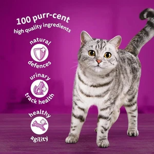 WHISKAS - 7+ Senior Wet Cat Food Pouches - 120 x 85 g - In Jelly 120 Pouches.... - Picture 1 of 3