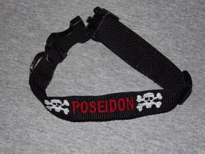 Personalized Dog Collar with Your Dogs Name Phone Number and Skull Design - Image 1 of 4