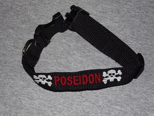 Personalized Dog Collar with Your Dogs Name Phone Number and Skull Design - Image 1 of 4