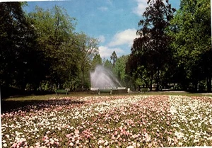 Koszalin Park Przyjaźni Polsko Radzieckiej Postkarte unbespielt - Bild 1 von 2