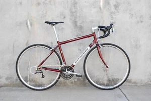 2001 Schwinn Super Sport GL, size L - Picture 1 of 12