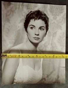 Fotografía original de belleza vintage de Jean Simmonds 8x10 - Imagen 1 de 4