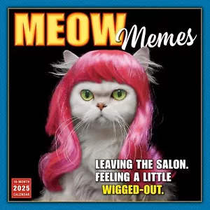 MEOW MEMES - GATOS DIVERTIDOS - CALENDARIO DE PARED 2025 - NUEVO - 939977 - Imagen 1 de 2