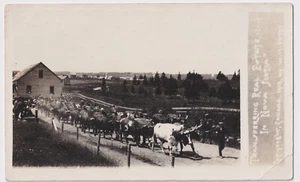 NOVA SCOTIA HOUSE MOVING BY OXEN REAL PHOTO COPYRIGHT 1913 BY W.H. PERRY - Picture 1 of 2
