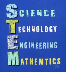 MINT-Science Technology Engineering Mathe Rechtschreibung Druckfehler Humor Kind T-Shirt S-L - Bild 1 von 2