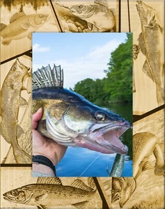 Walleye Fish Laser Engraved Wood Picture Frame Portrait (3 x 5) - Picture 1 of 2