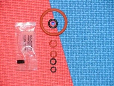 PHILIPS SAECO Saeco Philips Brühgruppen Dichtungen mit Silikonfet Magic Incanto Royal Intellia