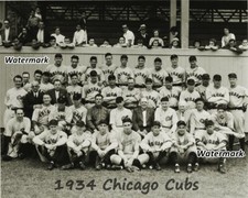 MLB 1934 Chicago Cubs Team Picture Black & White  8 X 10 Photo Picture