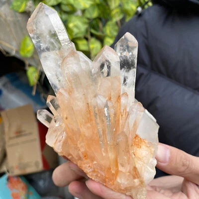 630g Natural Clear White Quartz Crystal Cluster Rough Healing Specimen - Image 1 of 4